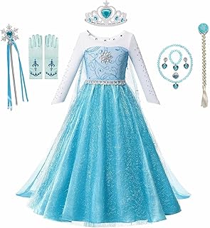 Princess Dress Up Birthday Party Costume with Accessories