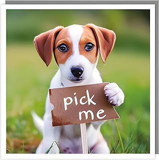 Tracks Publishing Puppy Dog Birthday/Blank Greeting Card